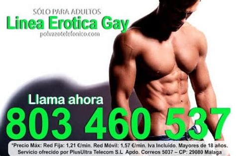 paja gay telefono|Chat Gay